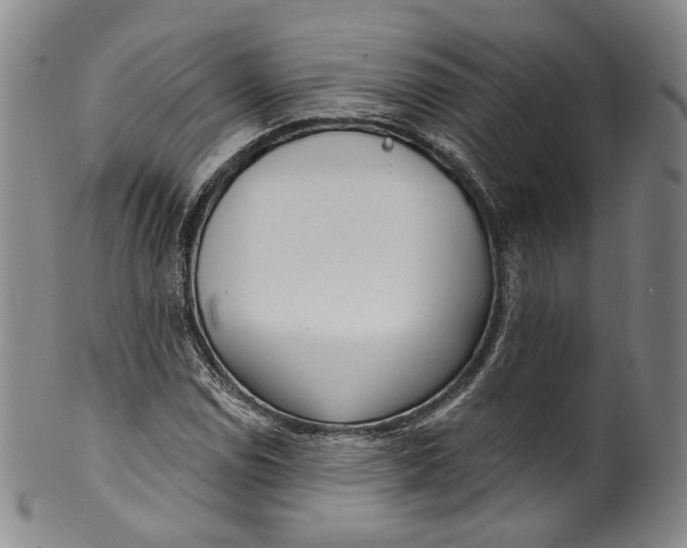 X0000100501114200806271253