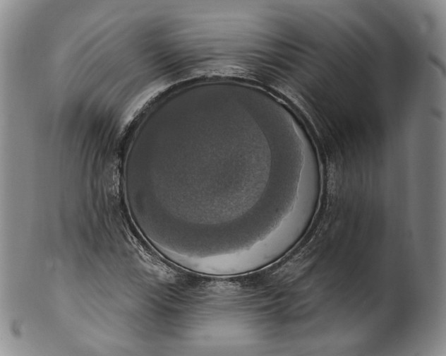 X0000100501115200806271253