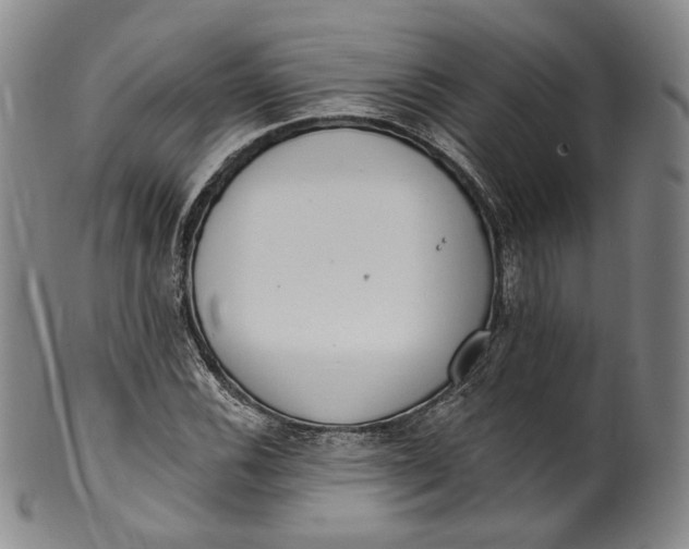 X0000100501116200806271253