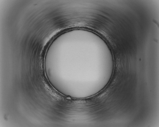 X0000100501118200806271253