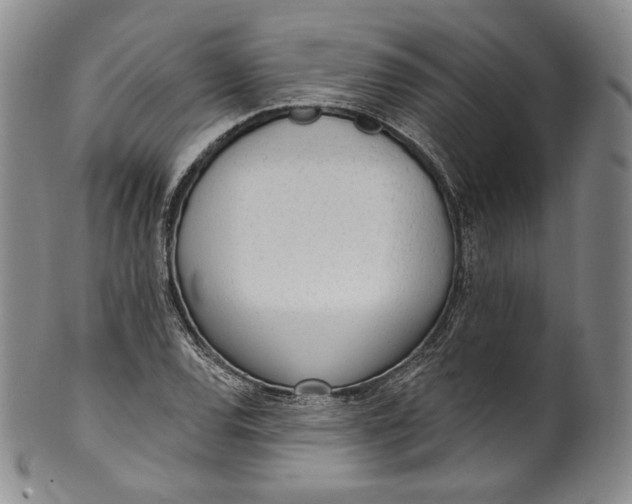 X0000100501120200806271253