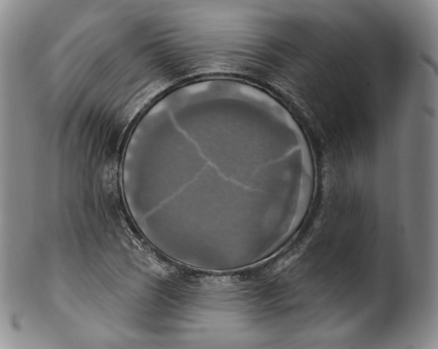 X0000100501121200806271253