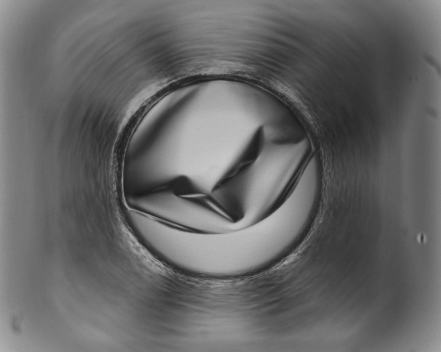 X0000100501122200806271253