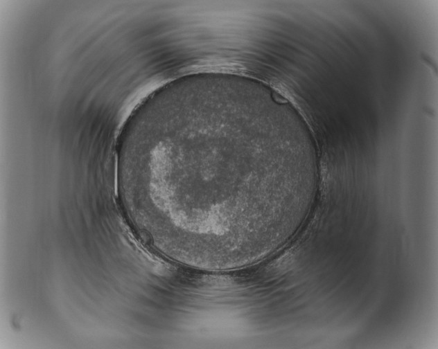 X0000100501123200806271253