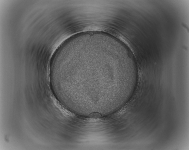 X0000100501124200806271253