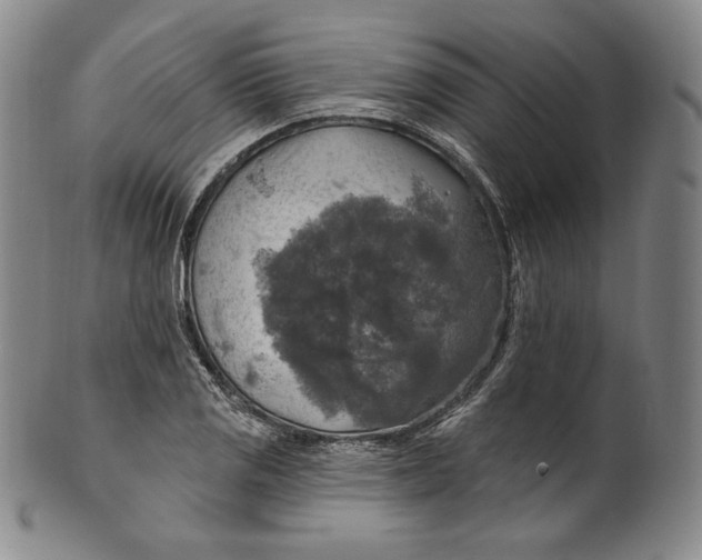 X0000100501125200806271253