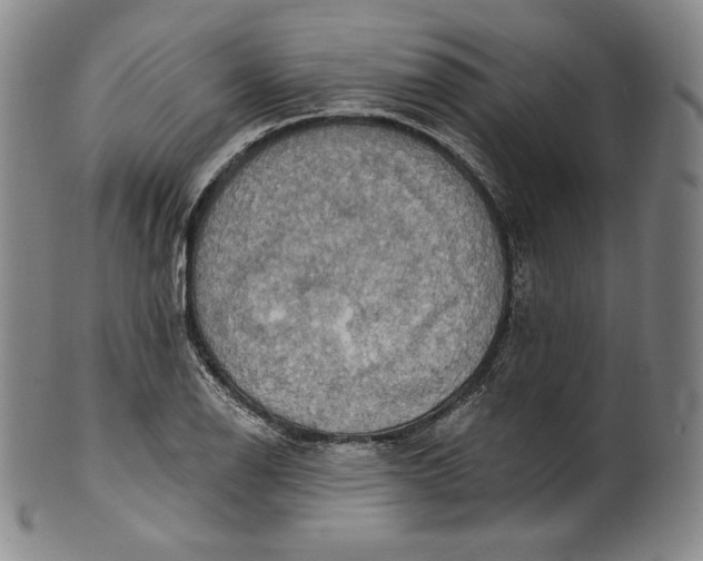 X0000100501126200806271253