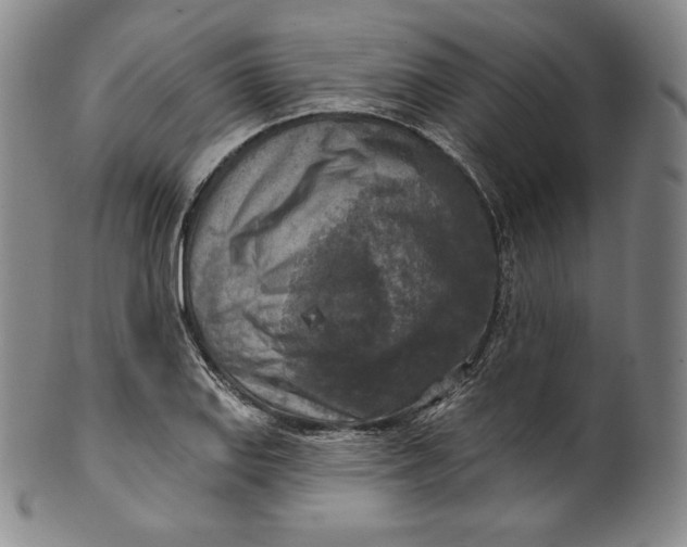 X0000100501127200806271253