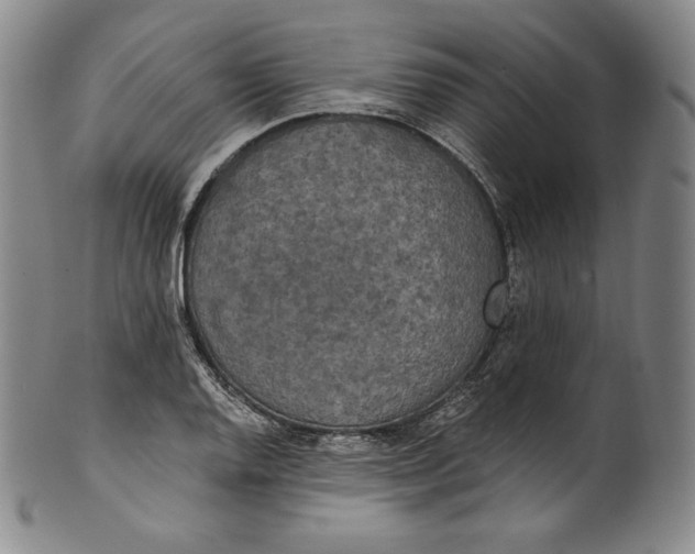 X0000100501128200806271253