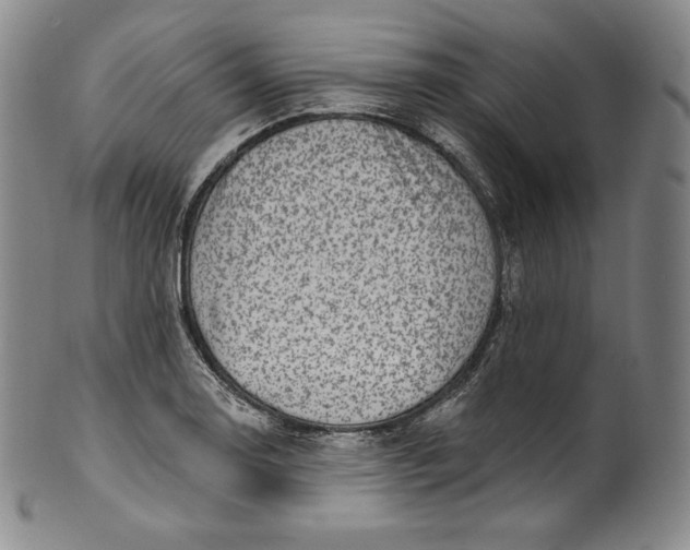 X0000100501130200806271253