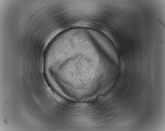 X0000100501131200806271253