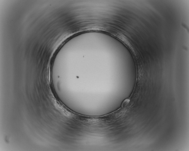 X0000100501132200806271253