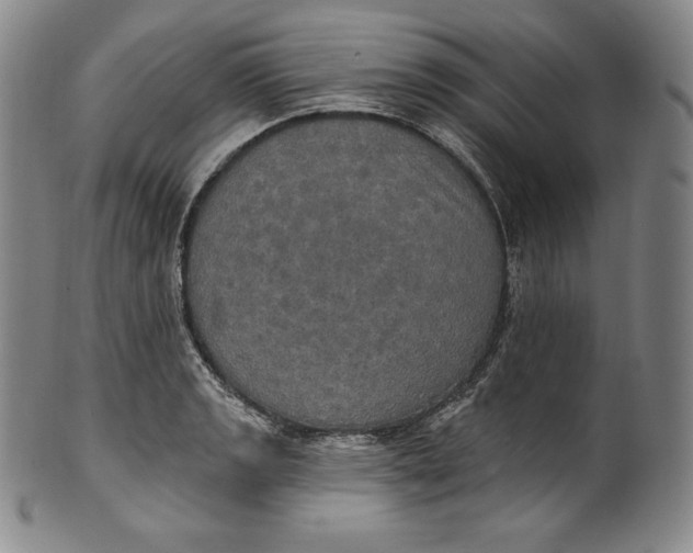 X0000100501133200806271253