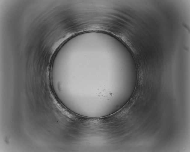 X0000100501134200806271253