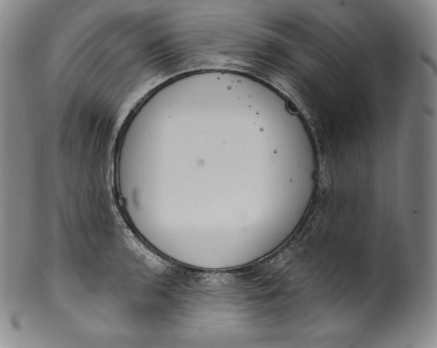 X0000100501136200806271253