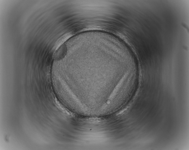 X0000100501137200806271253