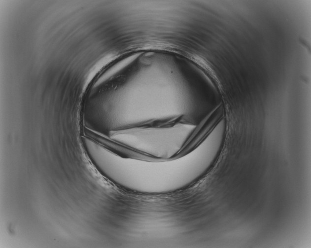 X0000100501138200806271253