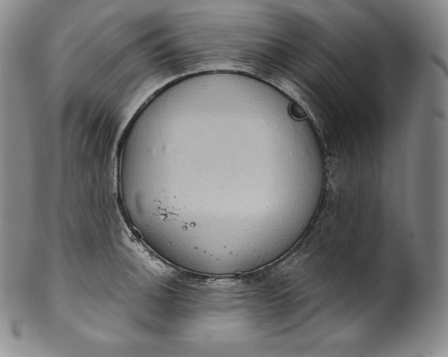 X0000100501140200806271253