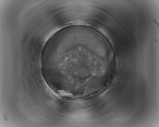 X0000100501141200806271253