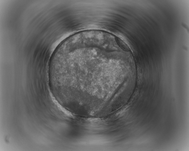 X0000100501142200806271253