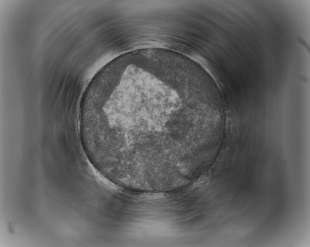 X0000100501143200806271253