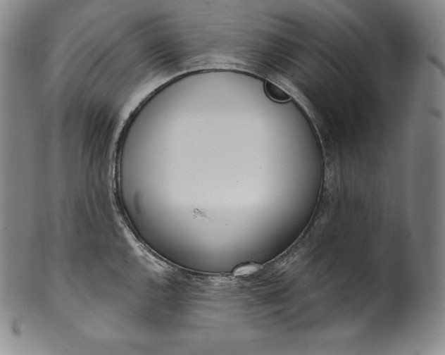 X0000100501144200806271253