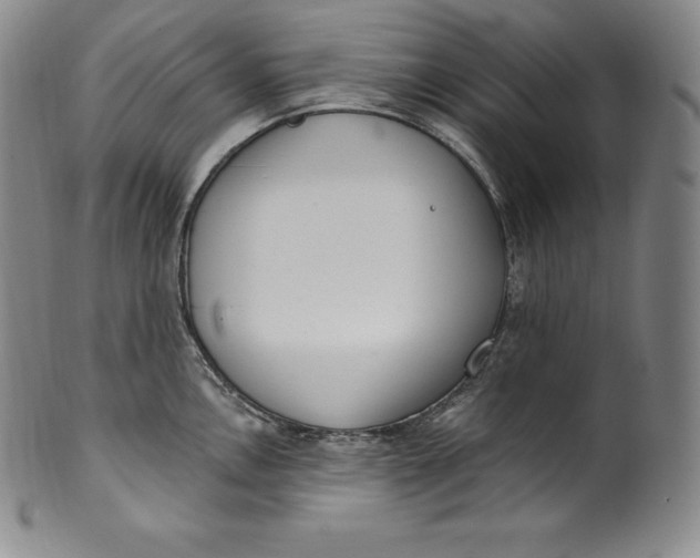 X0000100501146200806271253