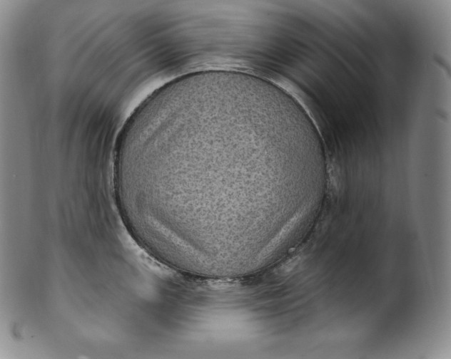 X0000100501147200806271253