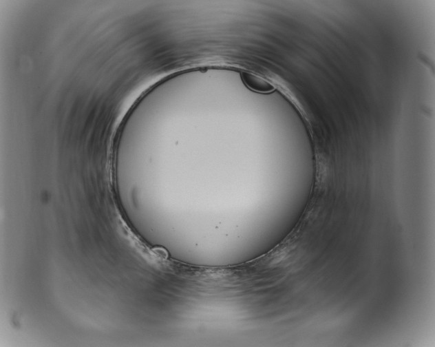 X0000100501148200806271253