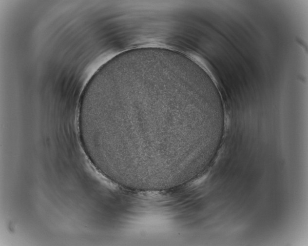 X0000100501149200806271253