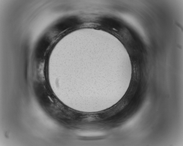 X0000100501150200806271253