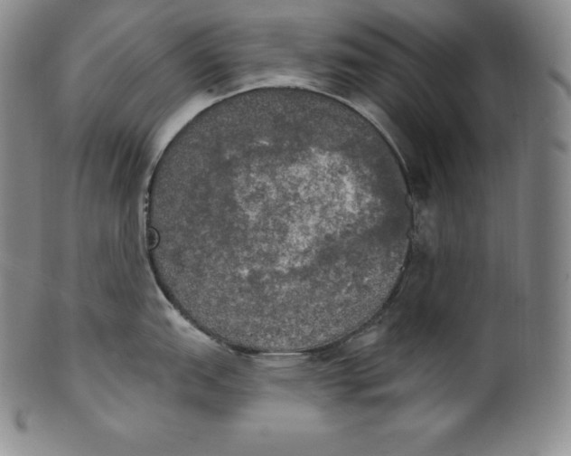 X0000100501151200806271253