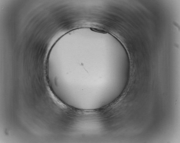 X0000100501152200806271253