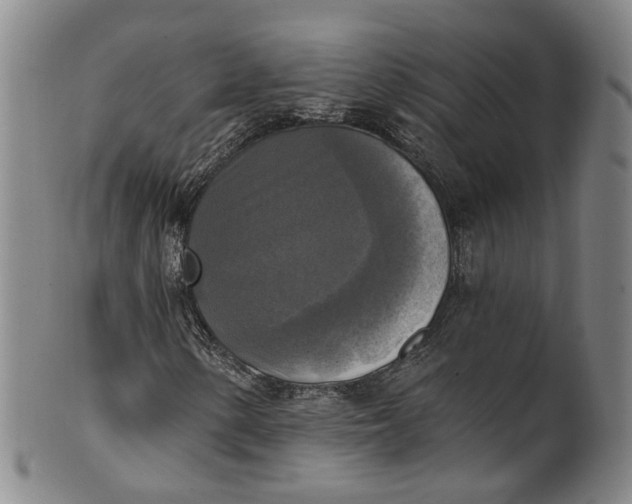 X0000100501154200806271253