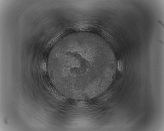 X0000100501155200806271253