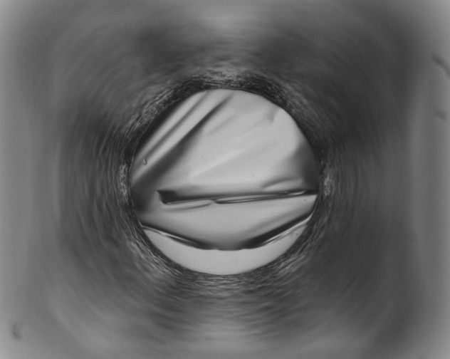 X0000100501156200806271252