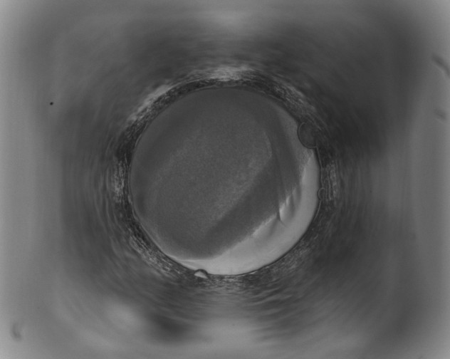 X0000100501158200806271252