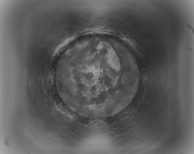 X0000100501159200806271252