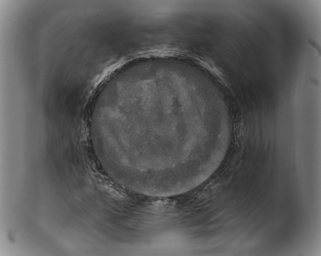 X0000100501160200806271252