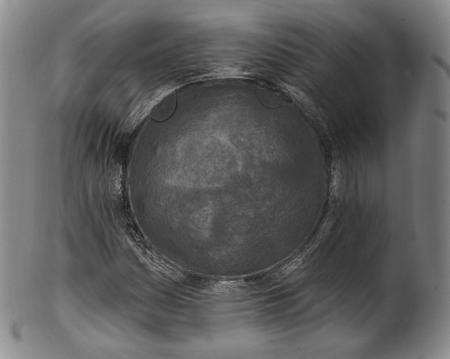 X0000100501161200806271252