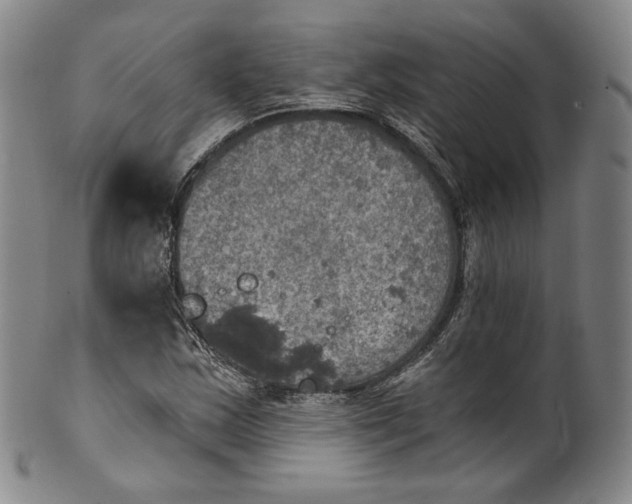 X0000100501163200806271252