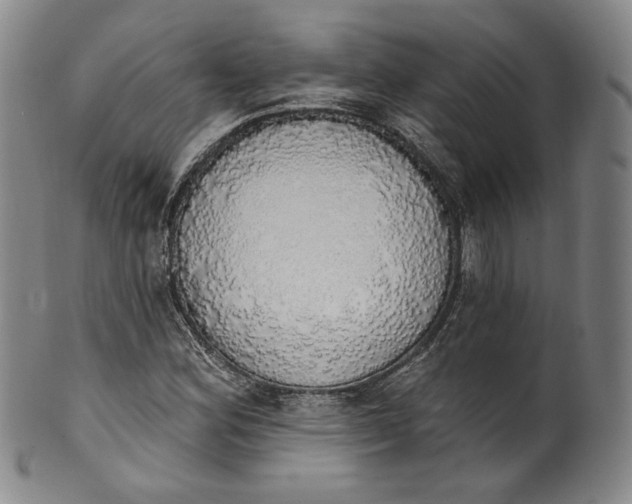 X0000100501164200806271252