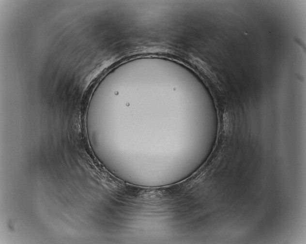 X0000100501165200806271252