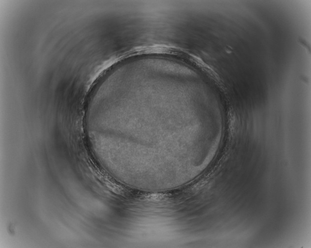 X0000100501166200806271252