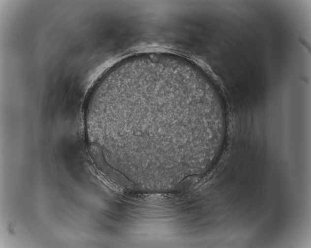 X0000100501167200806271252