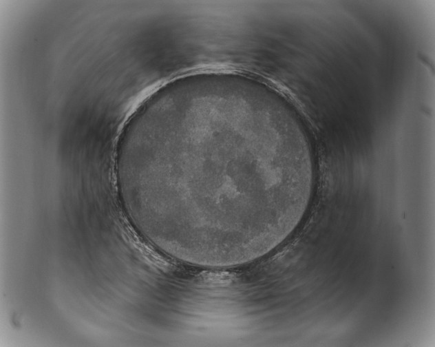 X0000100501168200806271252