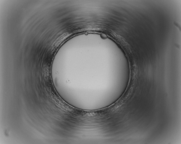 X0000100501169200806271252