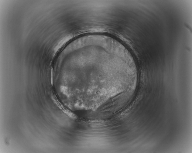 X0000100501171200806271252