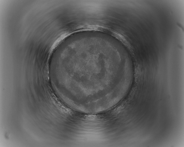 X0000100501172200806271252