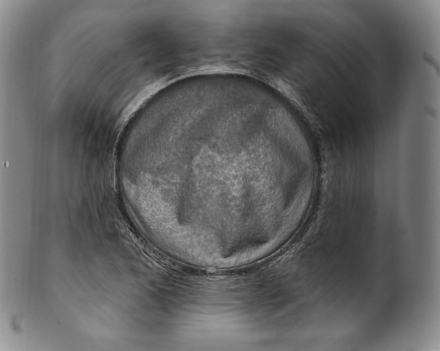 X0000100501173200806271252